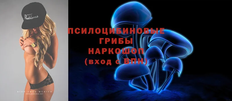 дарк нет формула  Краснотурьинск  Псилоцибиновые грибы MAGIC MUSHROOMS 